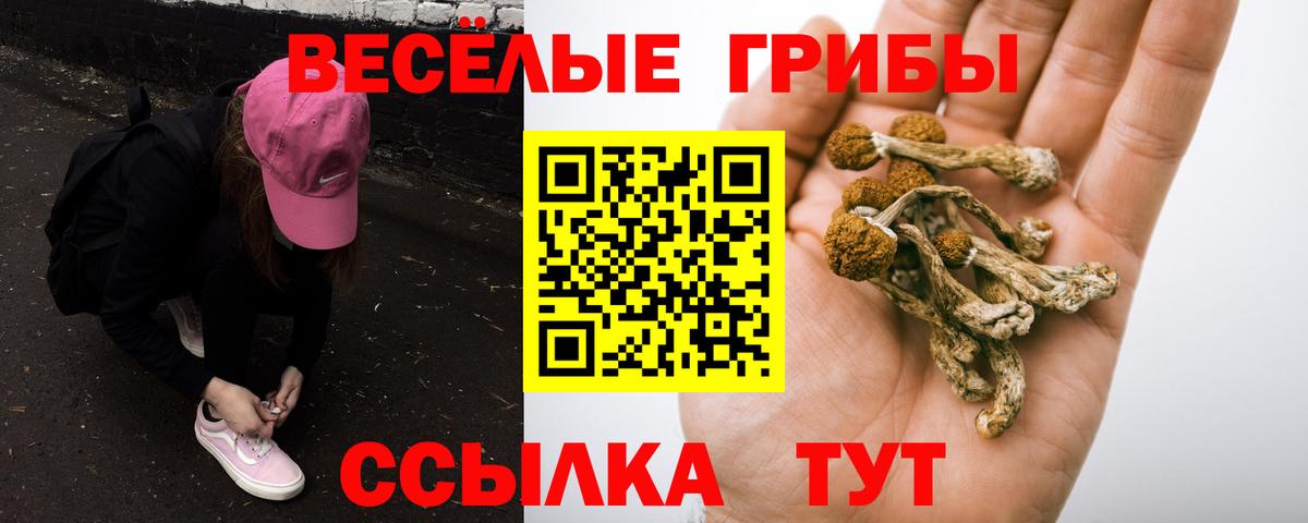 Ивантеевка  где купить наркоту  Вход с VPN  Галлюциногенные грибы MAGIC MUSHROOMS 