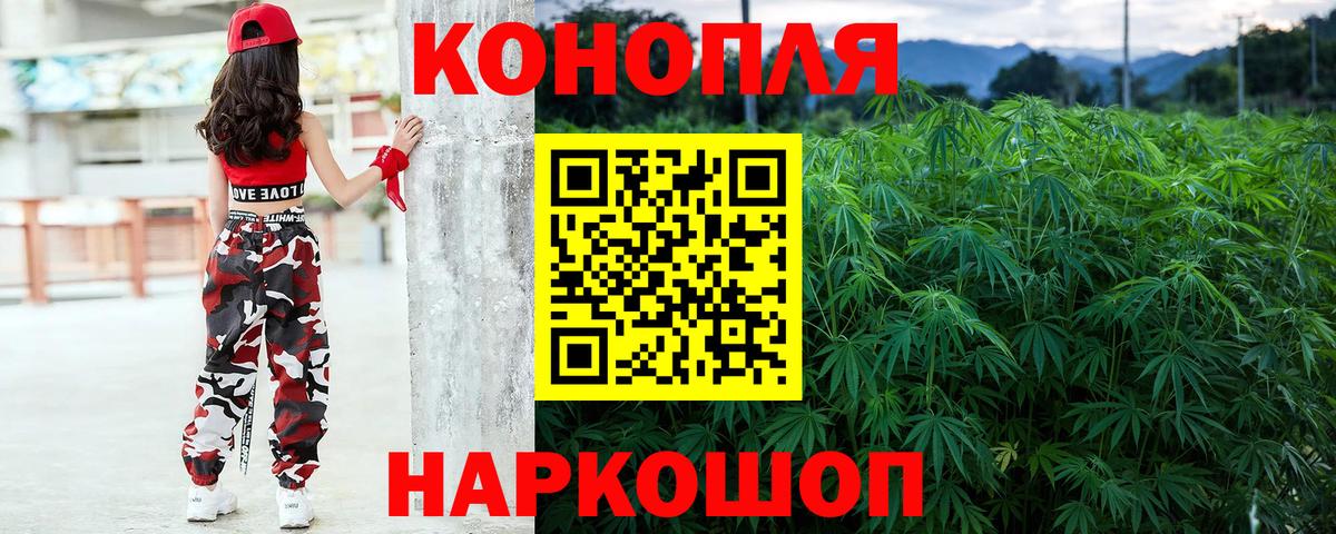 Шишки марихуана марихуана Ивантеевка